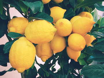 limoni