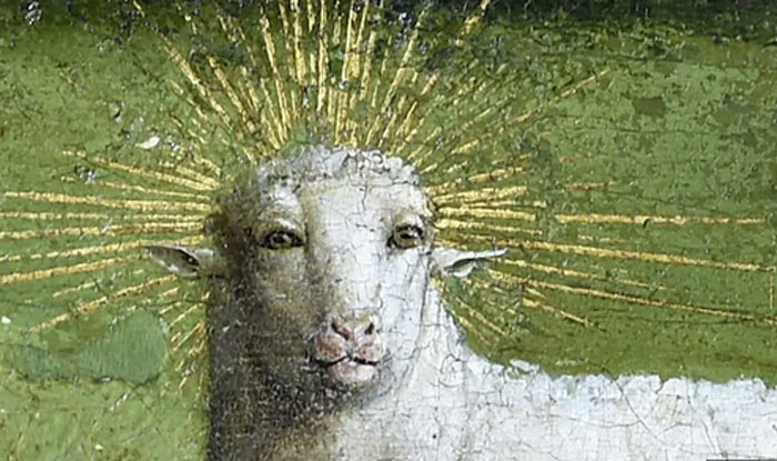 Lamb